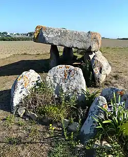 Image illustrative de l’article Allée couverte de Diévet