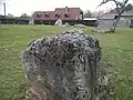 Les alignement de menhirs de la Plumaudière.