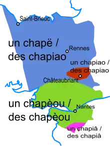 Carte de la Haute-Bretagne montrant les variations de prononciation du pluriel selon les régions.