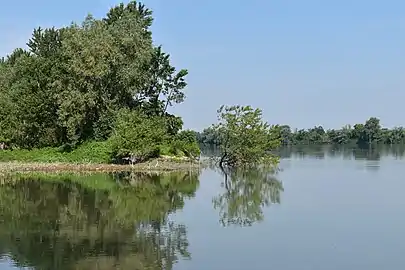 Le Pô dans la province de Ferrare en juin 2019.