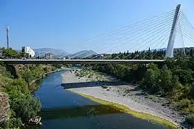 Pont du Millenium, Podgorica