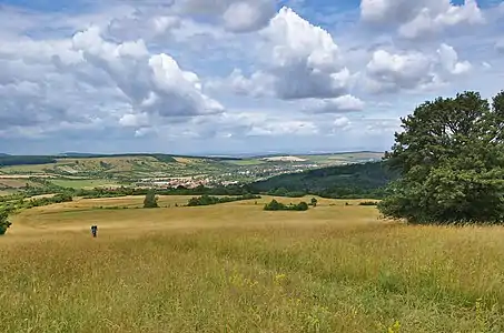 Panorama de Velká nad Veličkou.