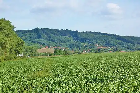 Panorama de Vážany.