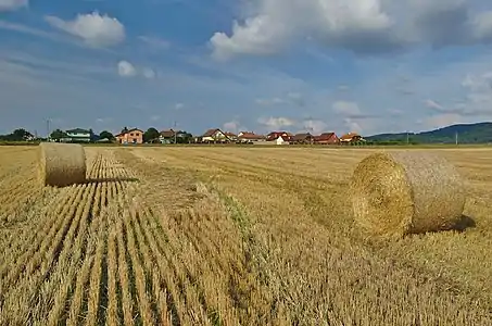 Panorama de Sudice.