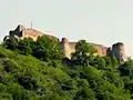 Ruines de la citadelle de Poenari
