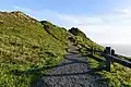 Randonnée dans le Point Reyes National Seashore en décembre 2016.