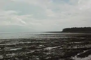 Pointe Isère, limite entre la mangrove (zone C) et la plage (zone A)