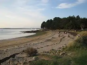 Plage, pinède et école de voile de la pointe du Bill