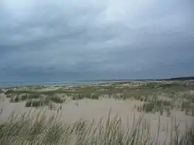 La pointe Espagnole et l'île d'Oléron.