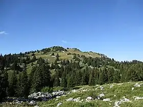 Vue de la pointe d'Ireuse depuis Nifflon d'en Haut.