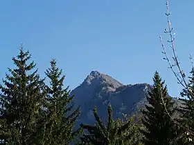 Vue de la pointe de Marcelly depuis Taninges.