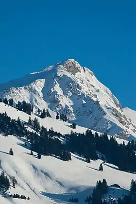 La pointe de Paray.