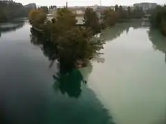 La Pointe de la Jonction à Genève — Le Rhône et l'Arve.