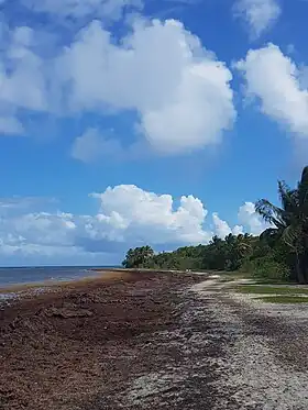 La pointe de la Saline en mai 2023