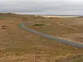 Les dunes à la Pointe du Banc.