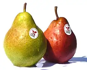 Image illustrative de l’article Pommes et poires de Savoie