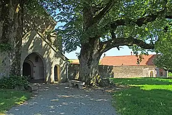 Porche à l'ombre de deux grands chênes.