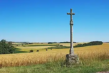 Croix de dévotion sur la route de Frôlois  Classé MH (1990).