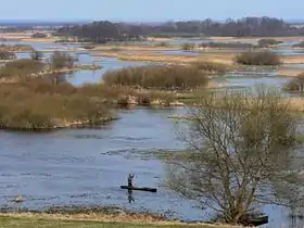 Les grands marécages créés par les rivières Kaczawa et Czarna Woda
