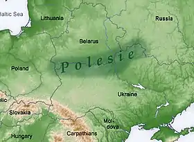 Le bassin polésien, en Biélorussie, Pologne et Ukraine, incluant en partie les régions historiques de Podlachie, de Volhynie et de Zaporoguie.