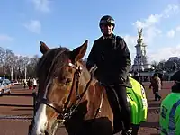 Cheval de la police montée londonienne avec couvre-reins jaune fluorescent.