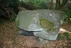 Polissoir du Petit-Runio à Lanrodec, près de Plouagat.