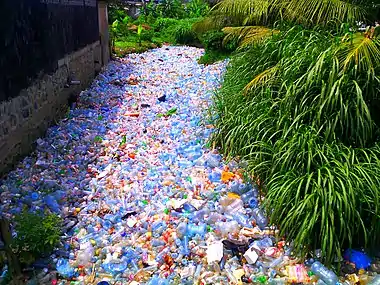 Cours d'eau au quartier Madagascar à Douala, Cameroun, submergé par la pollution plastique. Mai 2017.