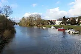 Pommiers sur les rives de l'Aisne.