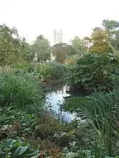 Photographie de l'étang du jardin botanique