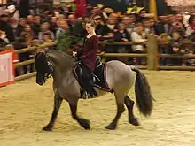 Poney monté par une cavalière au trot, vus de profil.