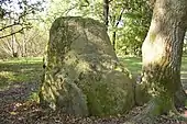 Menhirs des Dames de Pierre