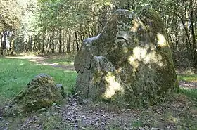 Menhirs des Dames de pierre