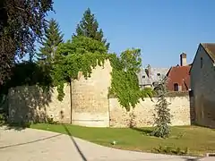 Vue d'un mur et d'une tour pris dans la végétation.