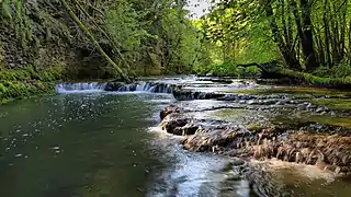 Le Sesserant en amont de sa confluence avec le Cusancin.