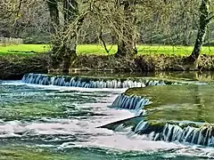 Nassi sur le Cusancin en aval de Pont-les-Moulins.