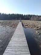 Pont de bois sur tourbière (sentier du tour du lac)