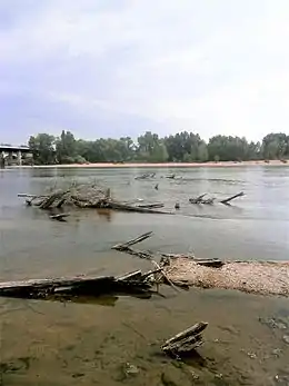 Vue de pieux en bois dépassant du niveau de l'eau au bord d'un fleuve.