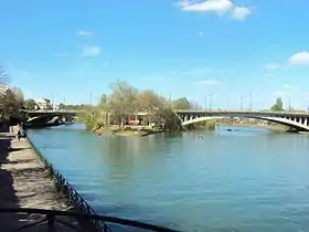 Pont de Joinville et pointe de l'île, 2014.