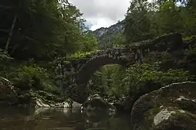 Pont de la Tannerie sur le Guiers-Mort