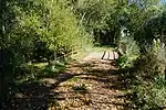 Le pont des Balises.