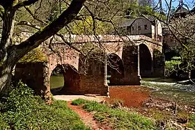 Le pont sur le Dourdou à Conques.