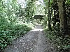 Chemin de Saint-Rémy à Boullay-les-Trous