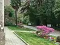 Jardins avec azaleas et palmiers.