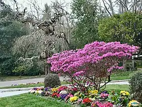 Image illustrative de l’article Jardin botanique de Lourizán