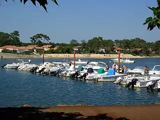 Ponton flottant du port de plaisance sur le courant