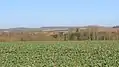 Vue du hameau de Berthaucourt.