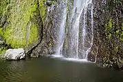 Cascade San Ramón.