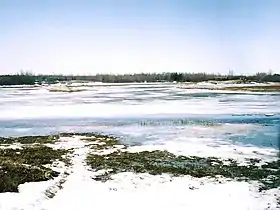 Image illustrative de l’article Rivière Poplar (Manitoba)
