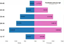 Pyramide des âges des utilisateurs de Facebook au 1er janvier 2010.