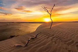 Coucher de soleil sur l'oasis Baixa Grande dans le parc national Lençóis Maranhenses.